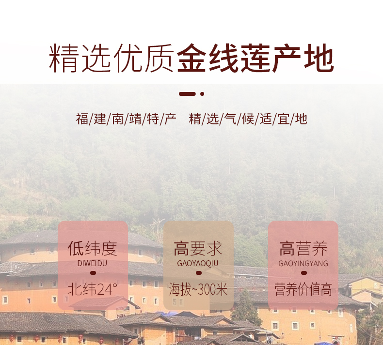 開花<a href=http://www.feczz.cn/ target='_blank'>金線蓮</a>干品