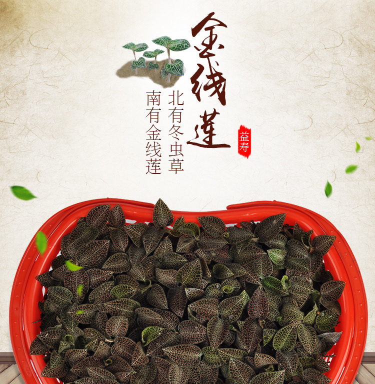 <a href=http://www.feczz.cn/ target='_blank'>金線蓮</a>鮮品 籃裝